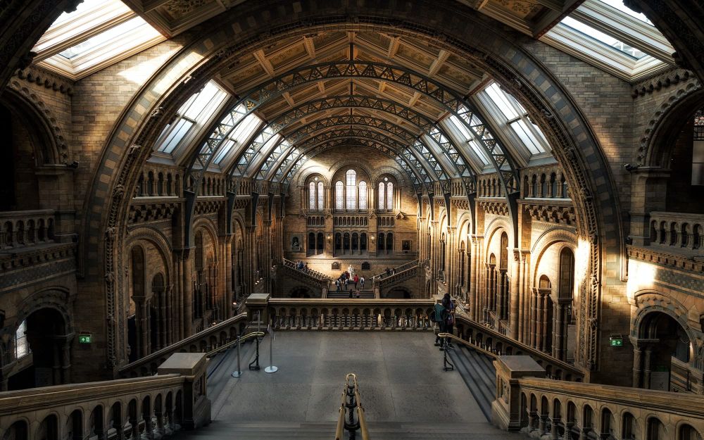 Photo of the interior of the Heintz Hall at London's NHM, with a shaft of sunlight crossing the hall. 