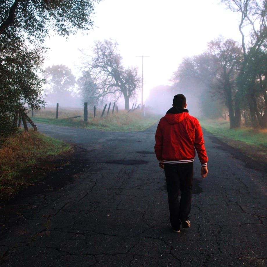 A walker in a red jacket makes a choice between two routes, both foggy.