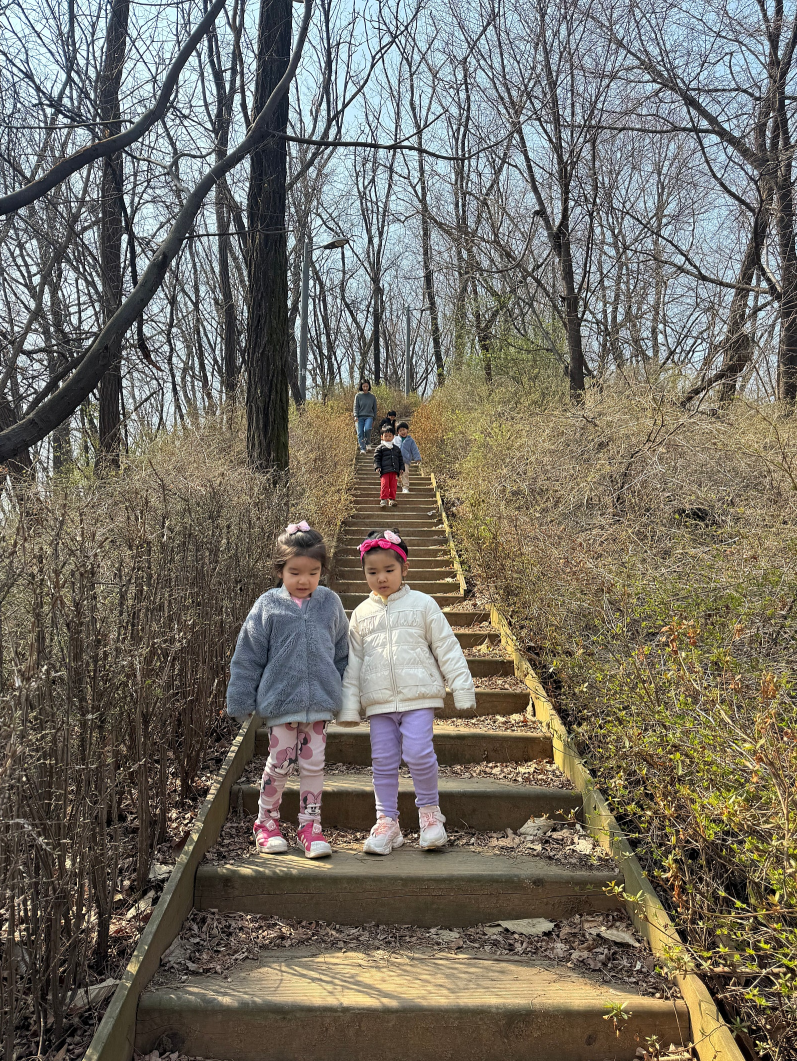 성미산 공동육아 어린이집 숲놀이, 아이들의 마음을 키우는 특별한 하루