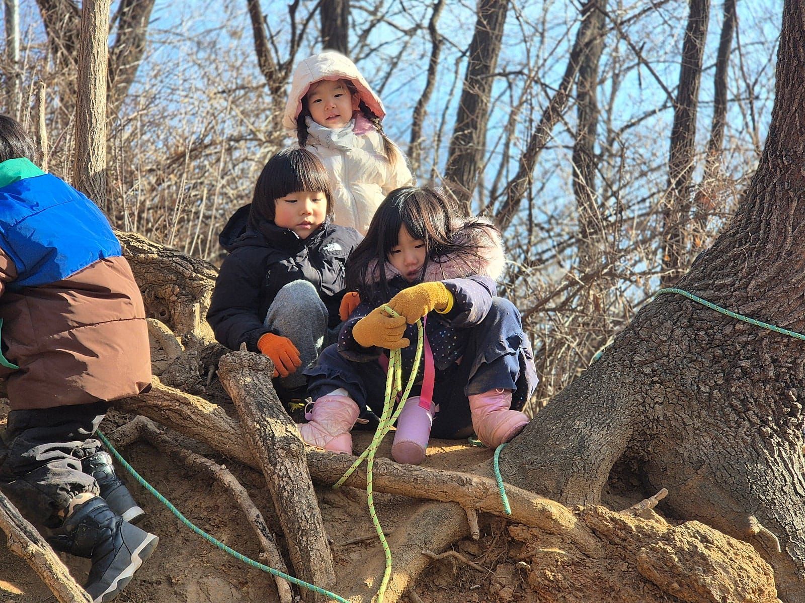 맞벌이 육아 걱정 덜어주는 성미산 어린이집 숲놀이, 퇴근 후가 달라집니다