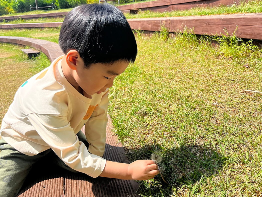 봄 나들에 영어·수학 교구는 없어요: 공동육아에서 다시 배우는 ‘배움’