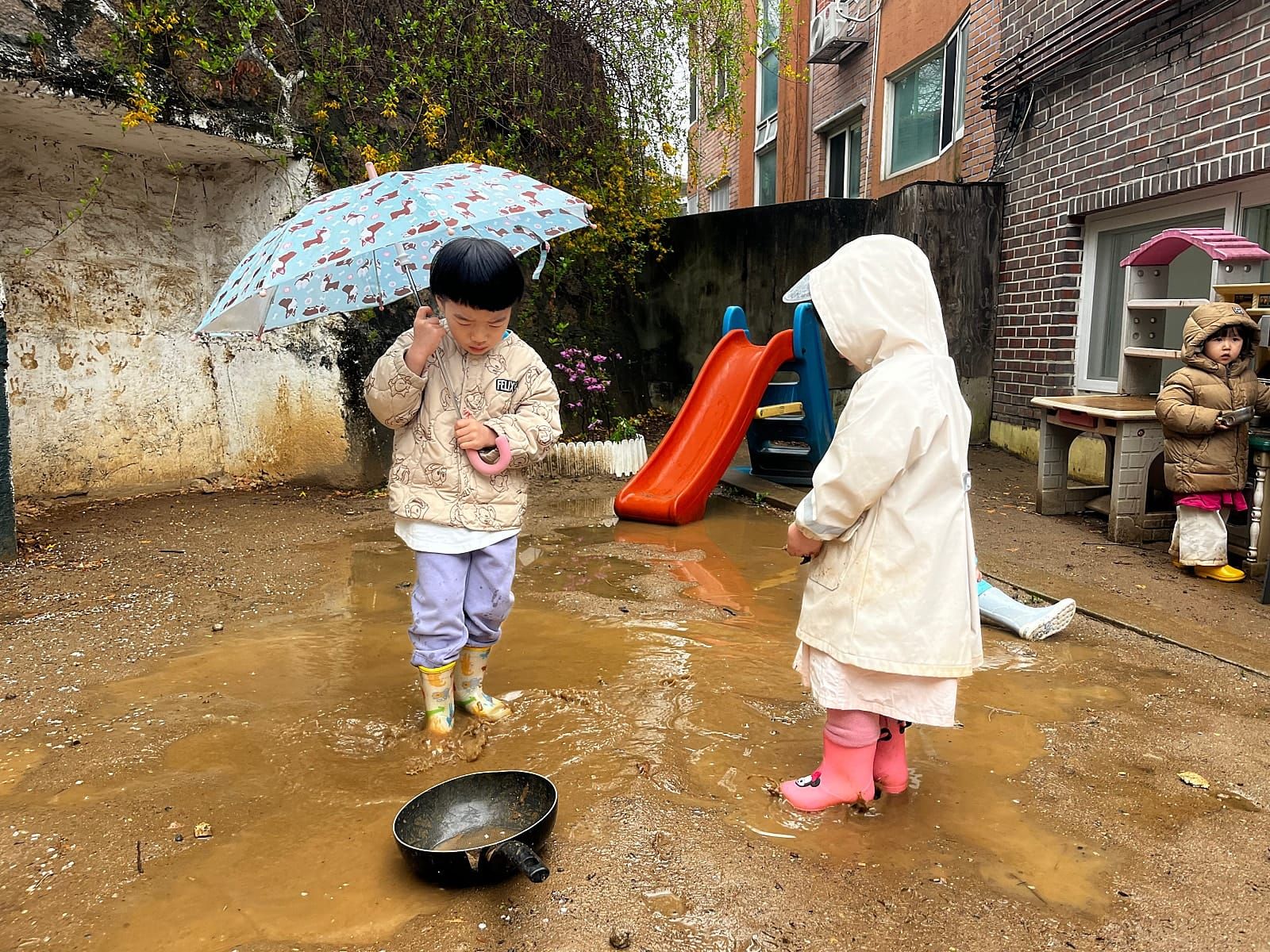비 오는 날의 마당 놀이, 작은 텃밭도 살아난다