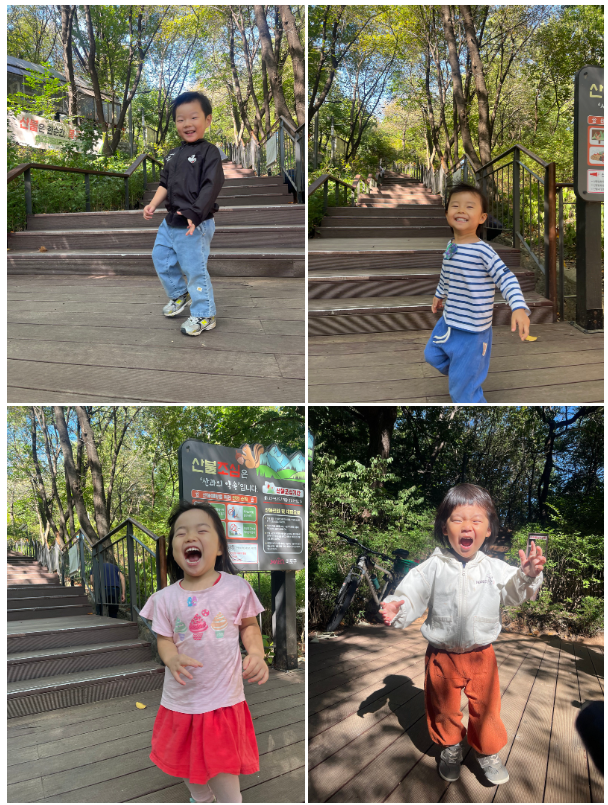 가을에서 겨울로, 성미산에서 만나는 계절의 변화