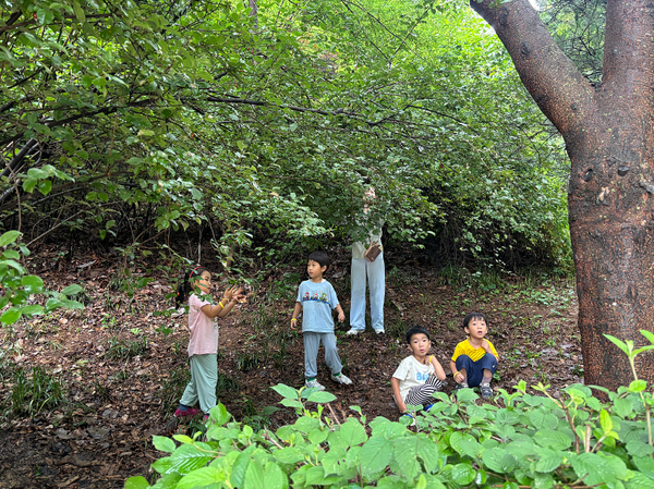 공동육아 어린이집, 숲에서 자라는 아이와 부모의 행복한 이야기