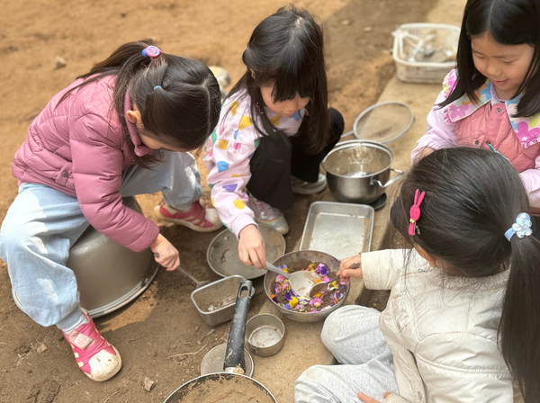 어린이집 마당에서 배우는 색깔 놀이: 봄꽃보다 더 중요한 아이의 발견