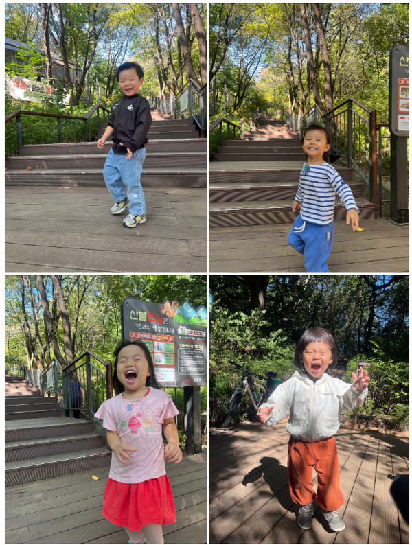 가을에서 겨울로, 성미산에서 만나는 계절의 변화