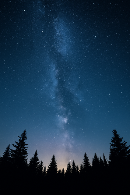 To Meet Grief With Presence