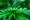Ubiracir Fernandes: “A cannabis deixou de ser um tema alternativo ou experimental”