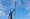 Monumento a Dandara dos Palmares será inagurado em Porto Alegre