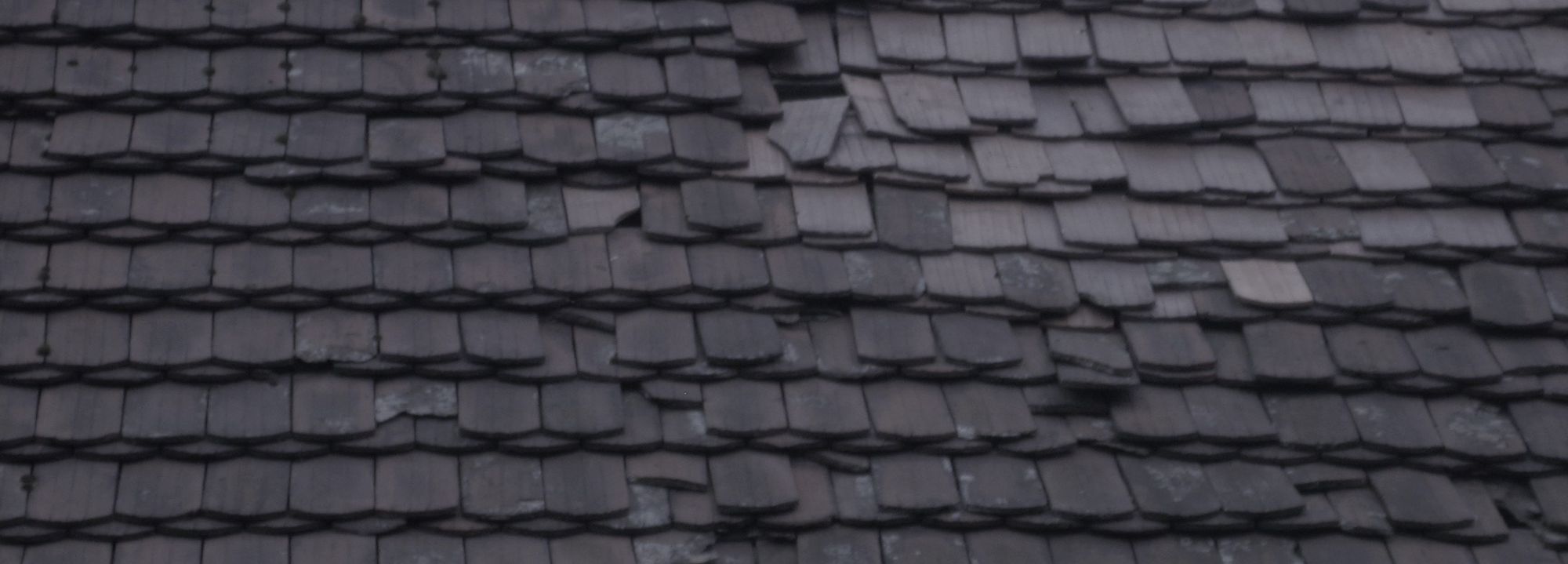 People: Questions?Answers.