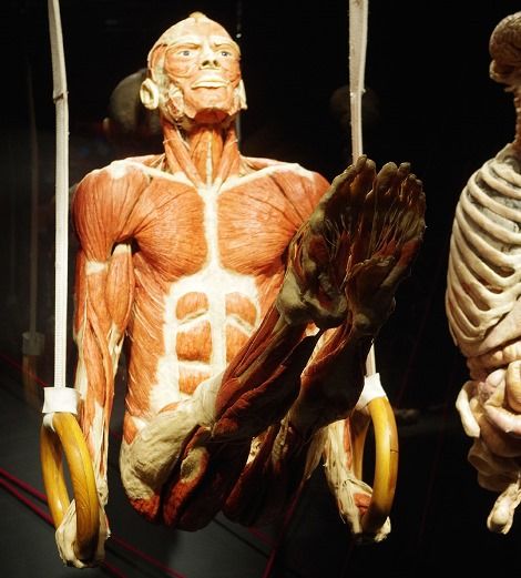 Als ob es ein Theater des Schreckens wäre