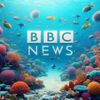 Filtering the news and diluting the truth
