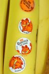 Banana stickers as advertising space