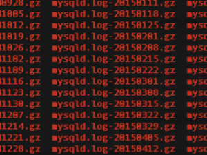 When you crashed your EBS instance, restarted, and now you can’t connect via SSH