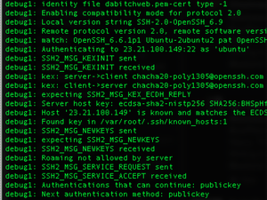 Permission denied (publickey) on AWS instance Ubuntu