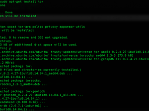 Website as hidden service: how do?