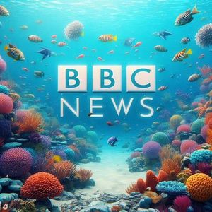 Filtering the news and diluting the truth