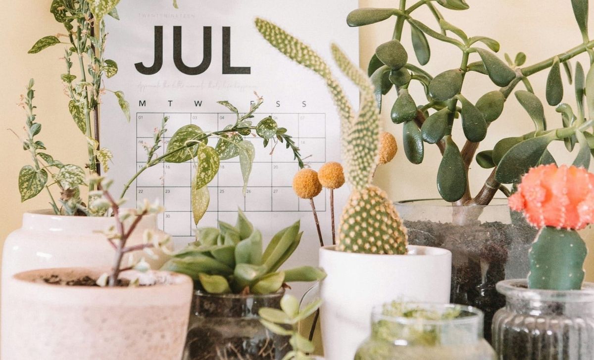 Why July could be your most important Christmas marketing month