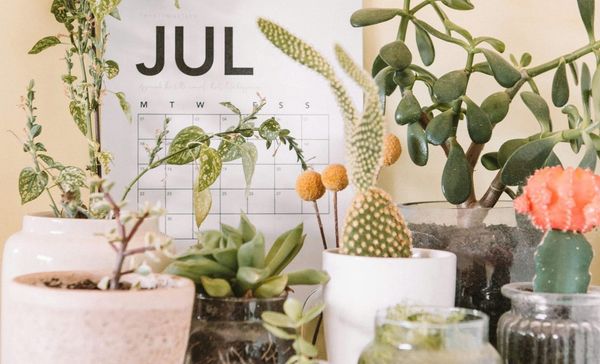 Why July could be your most important Christmas marketing month