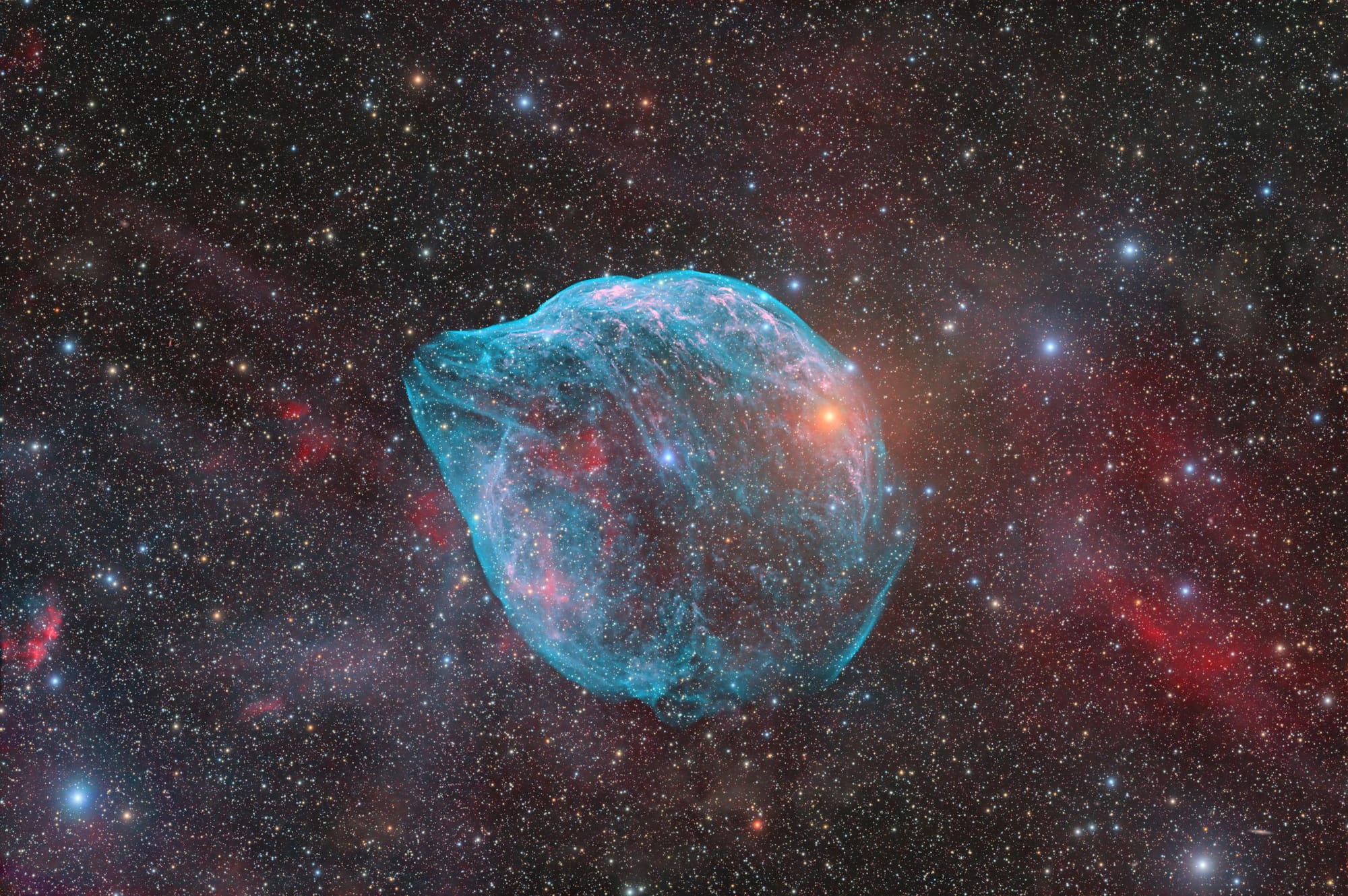 “Flipper” — SH2-308 by Andrew Burwell