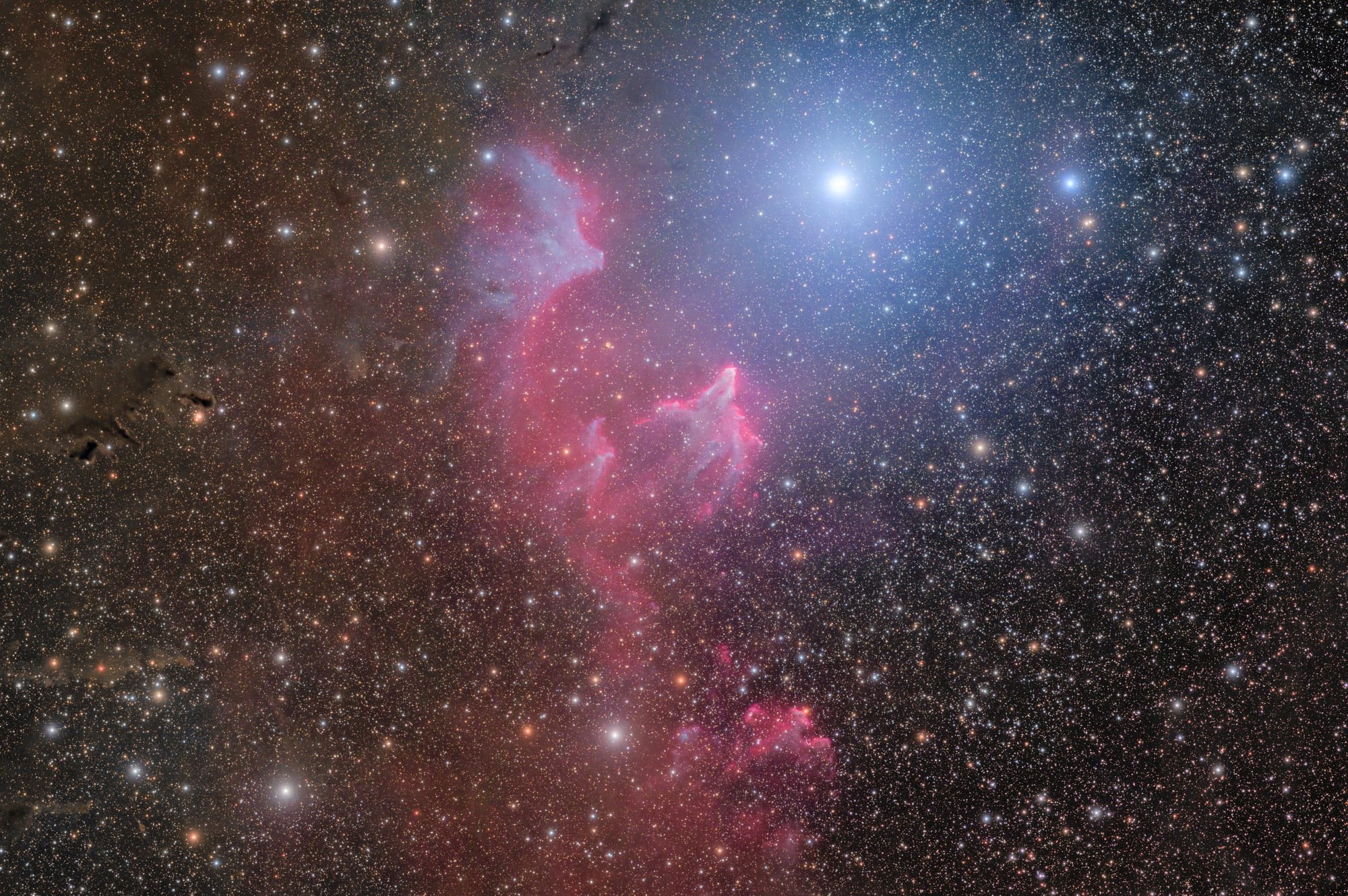 vdB 5 — Cassiopeia's Phantom by Andrew Burwell