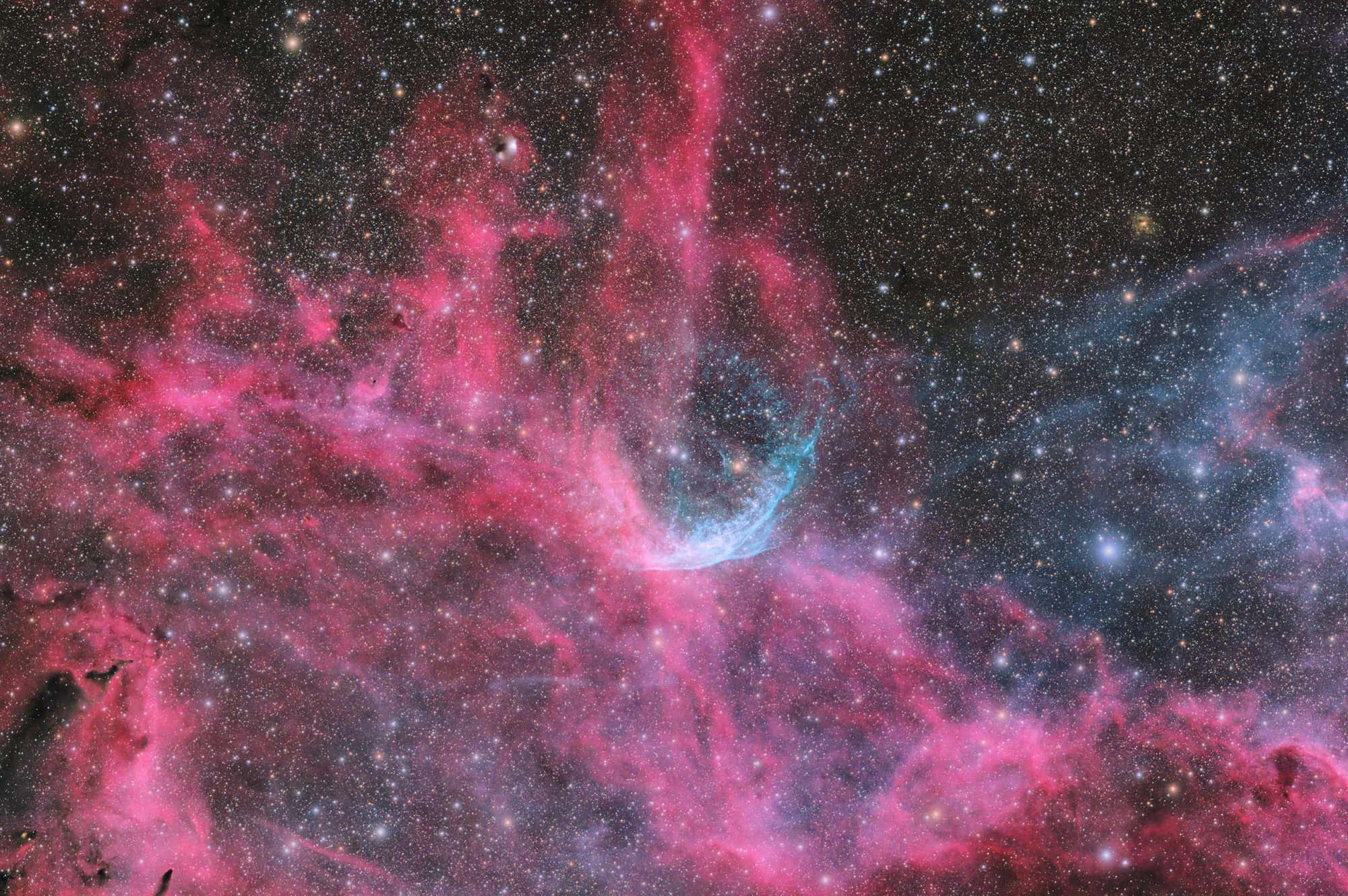 WR 134 — Winds of a Giant by Andrew Burwell
