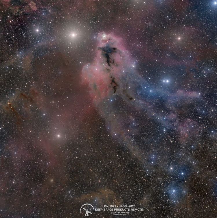 Chris Fellows Earns APOD for LDN 1622 (Orion)