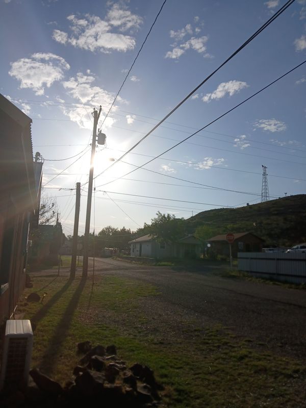 El Sol & Reflections on Turkey Tail Mushrooms