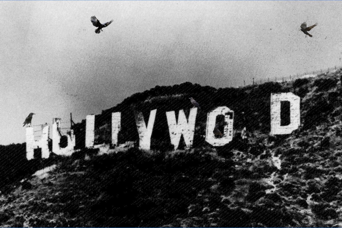 Nitrate Fires and Community Radical Movie Screenings