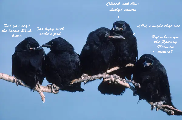 CAW Community Server