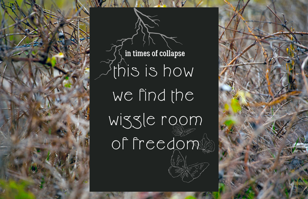 brambles in background with zine cover in black with white font: in times of collapse: this is how we find the wiggle room of freedom