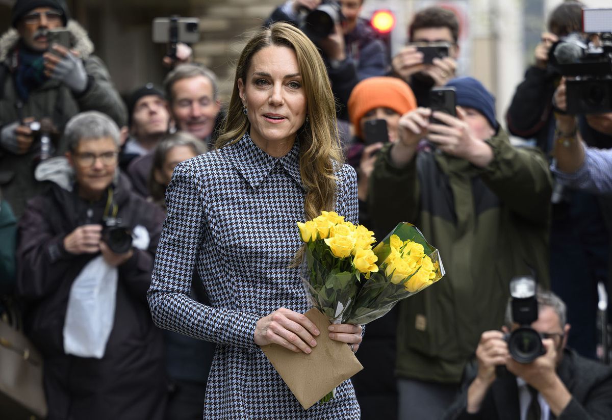 catherine princess of wales wore an emilia wickstead houndstooth dress Kate Middleton's most polished and professional look yet? Princess wears  houndstooth dress to talk to Harvard experts about early childhood