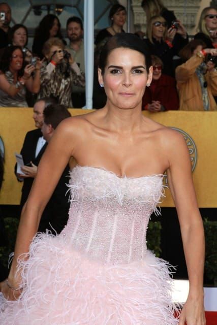 SAG let this be the last time: Angie Harmon