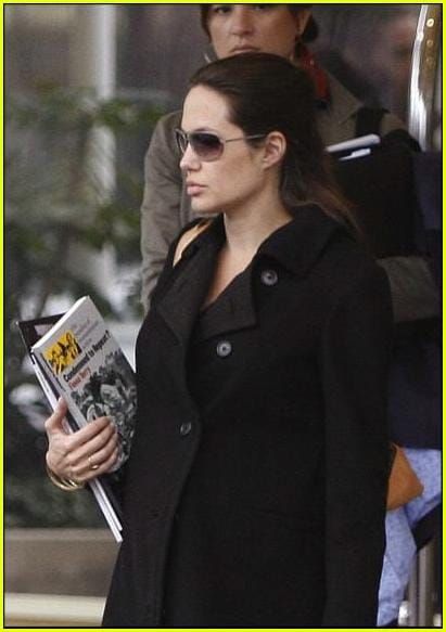 Angelina in Paris