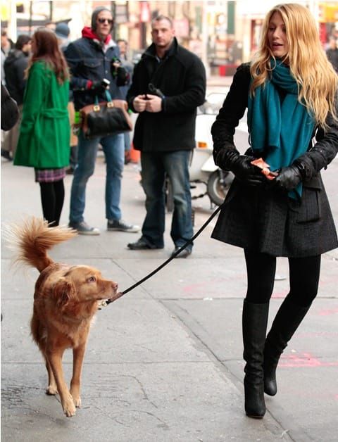 Best of 2011: Tall Is Not Cute