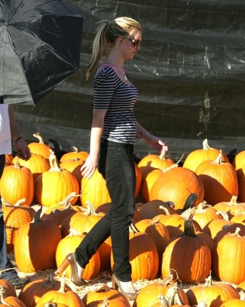 Chicken Fried Pumpkin Patch