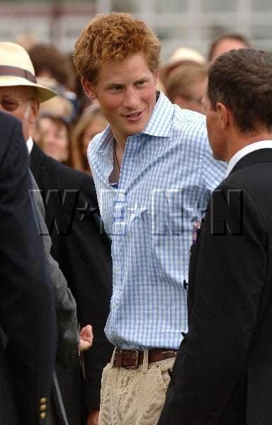 The Daily Hot Harry: Hot Harry plays polo