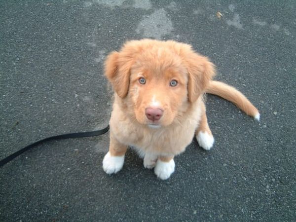 Test Post 3