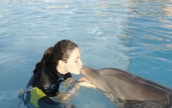 Rossum and the Dolphin