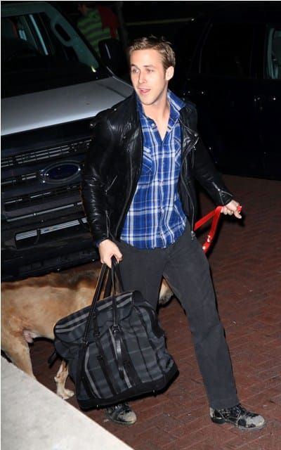 Gosling + Dog > Gosling + Fish