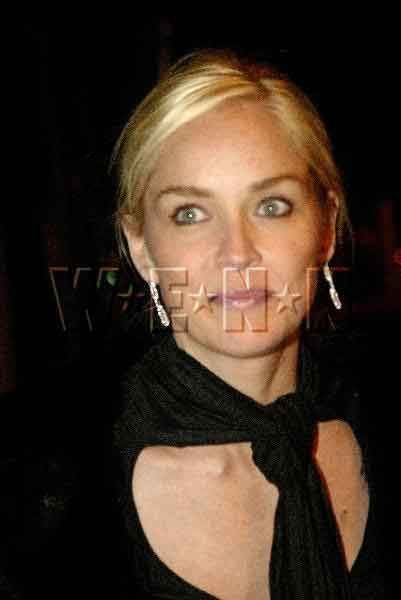 The Daily Ugly: Sharon Stone"s assy pants