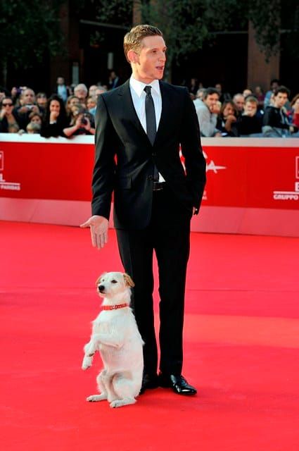 Milou on the carpet