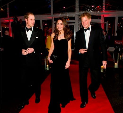 Royal Black Velvet