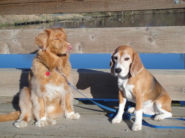 I like the dog talk more than the booty talk