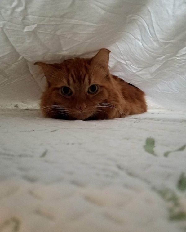 November 10, 2021 – Shout-Outs