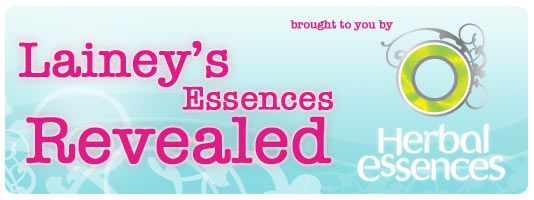 The Essence of Beef & Tomato