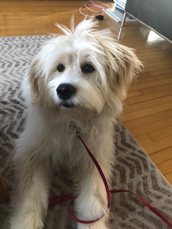 December 19, 2022 – Shout-Outs