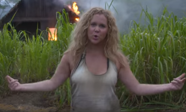 #AmySchumerGottaGoParty