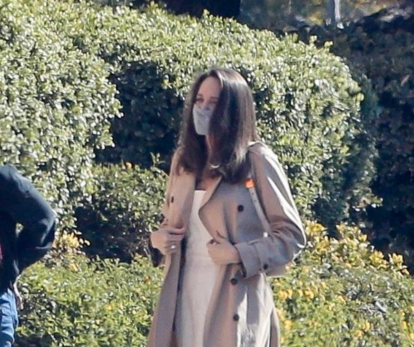 Angelina Jolie: Selling the Art