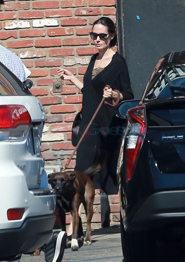 Intro for October 24, 2017